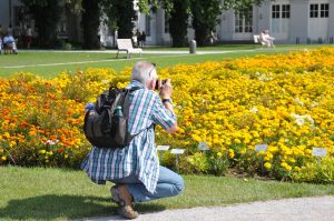 Fakten zur Gartenschau Landau