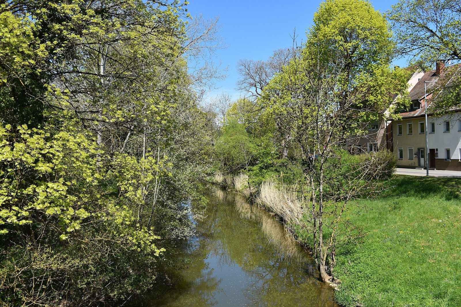 Die Jagst in Ellwangen im April 2026