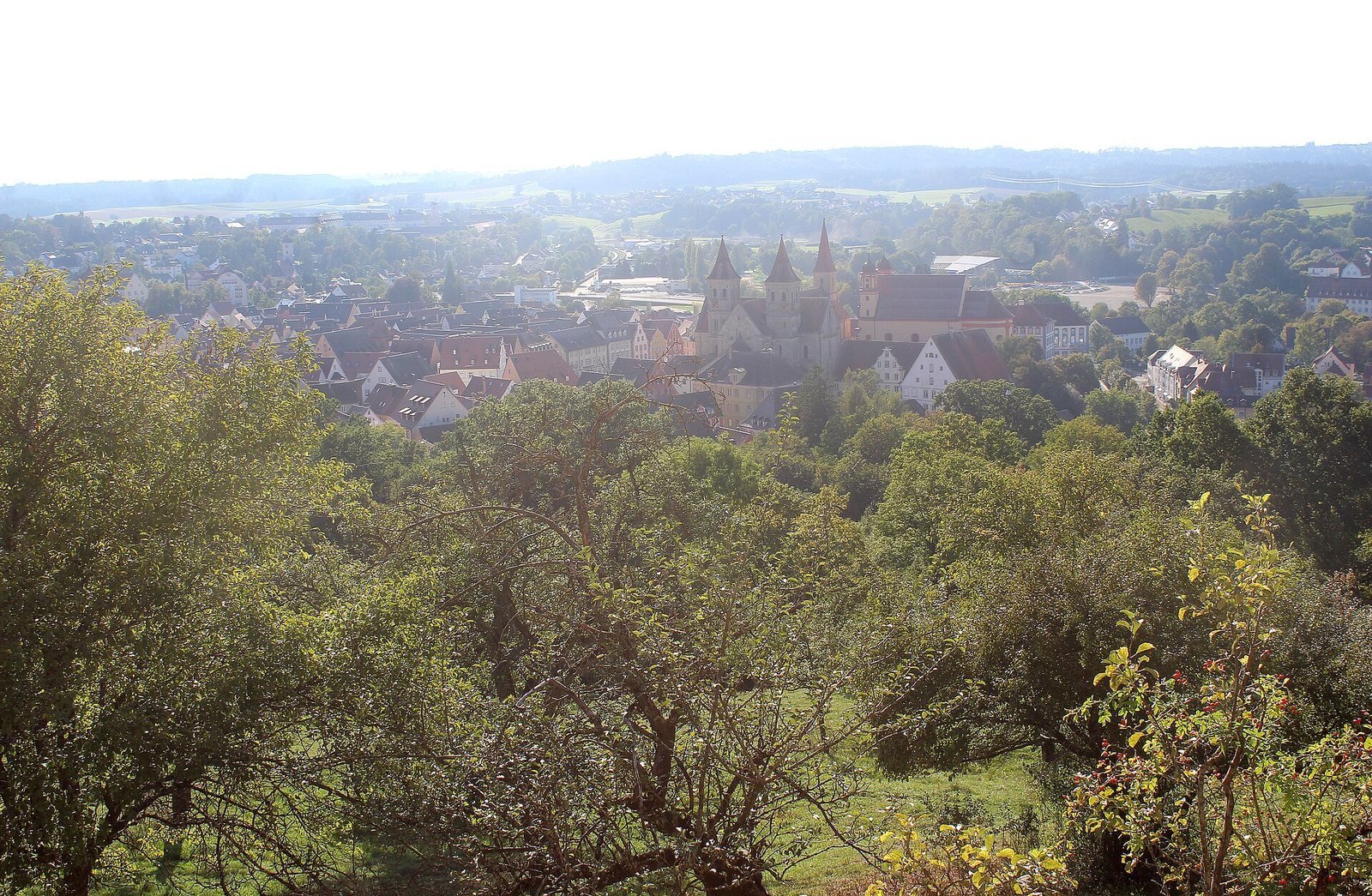 Blick vom Schloss Ellwangen auf die Stadt