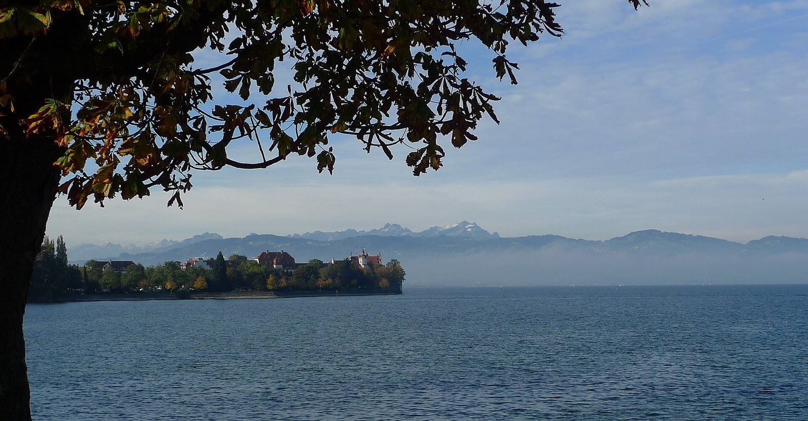 Ufer der Hinteren Insel in Lindau mit Bäumen und Blick auf den Bodensee