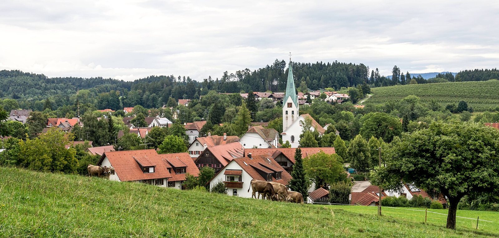 Die Kirche St. Pelagius in Oberreitnau bei Lindau