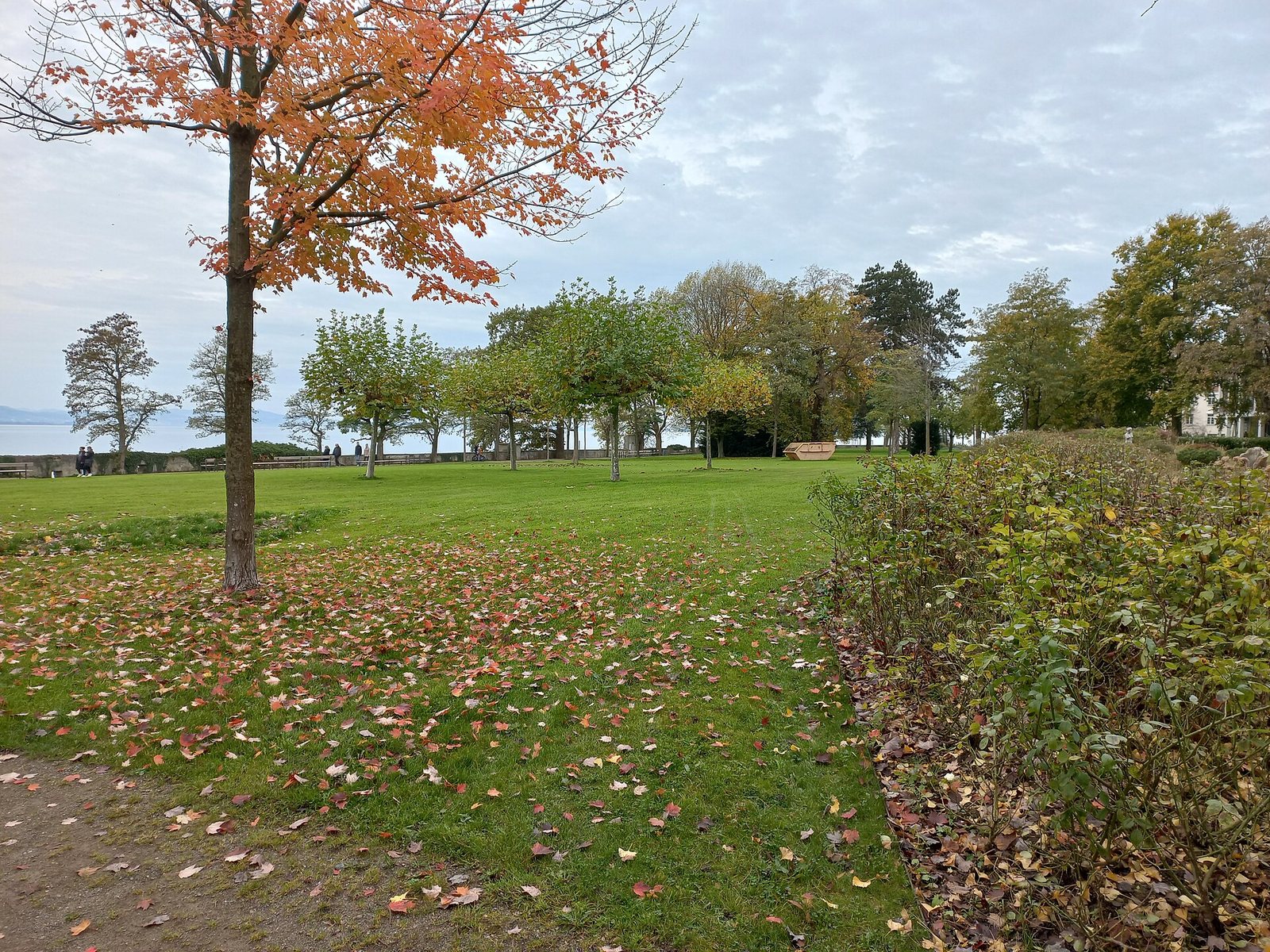 Grünanlage im Luitpoldpark auf der Insel Lindau