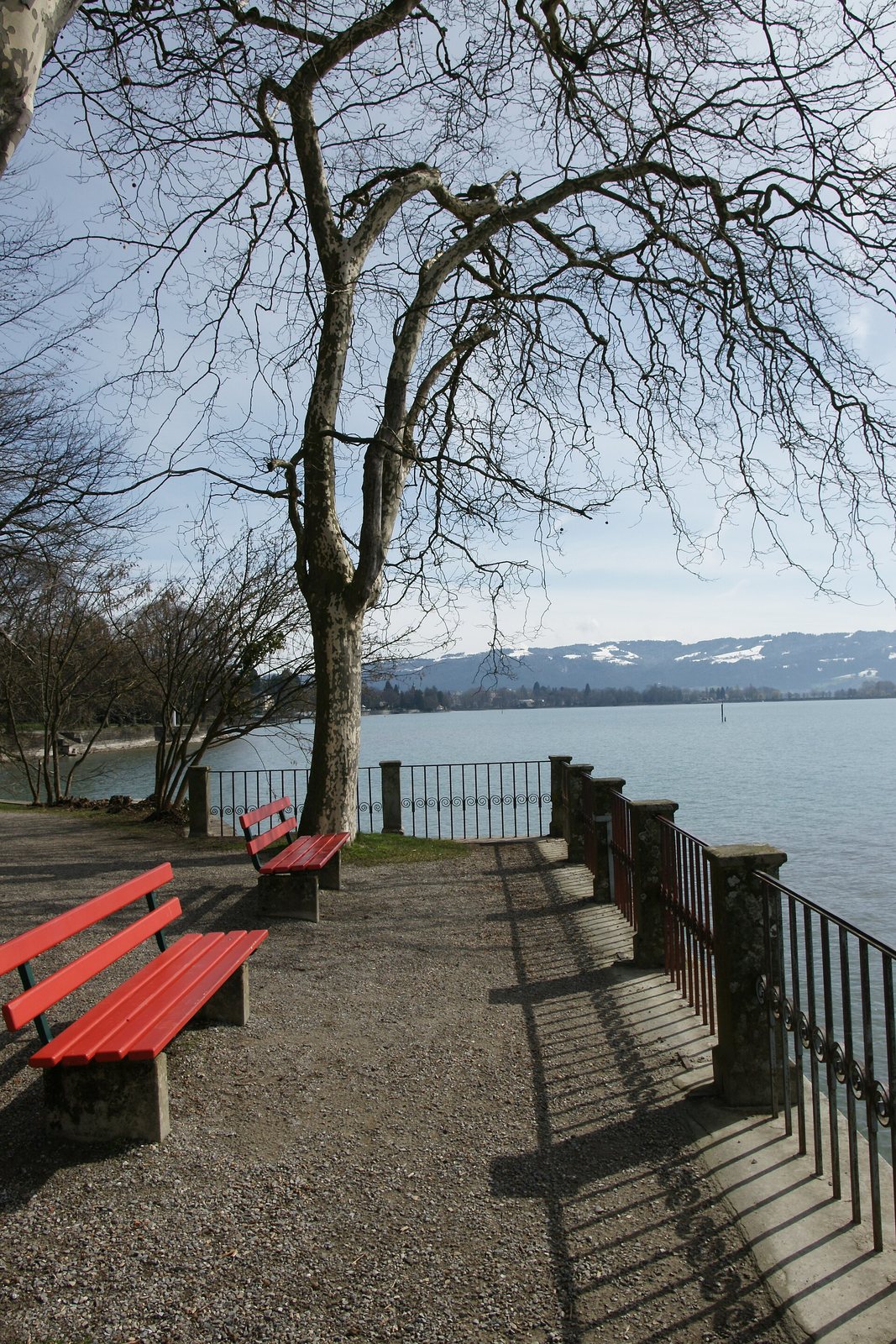 Bänke an der Ufermauer im Lindenhofpark mit Blick auf den Bodensee