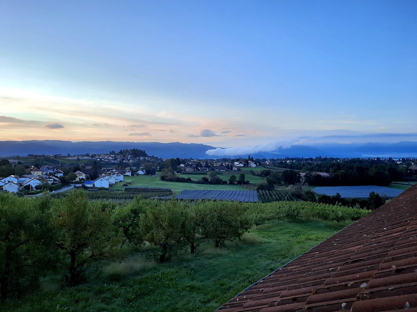 Sonnenaufgang über dem Bodensee bei Lindau mit Obstgärten im Vordergrund