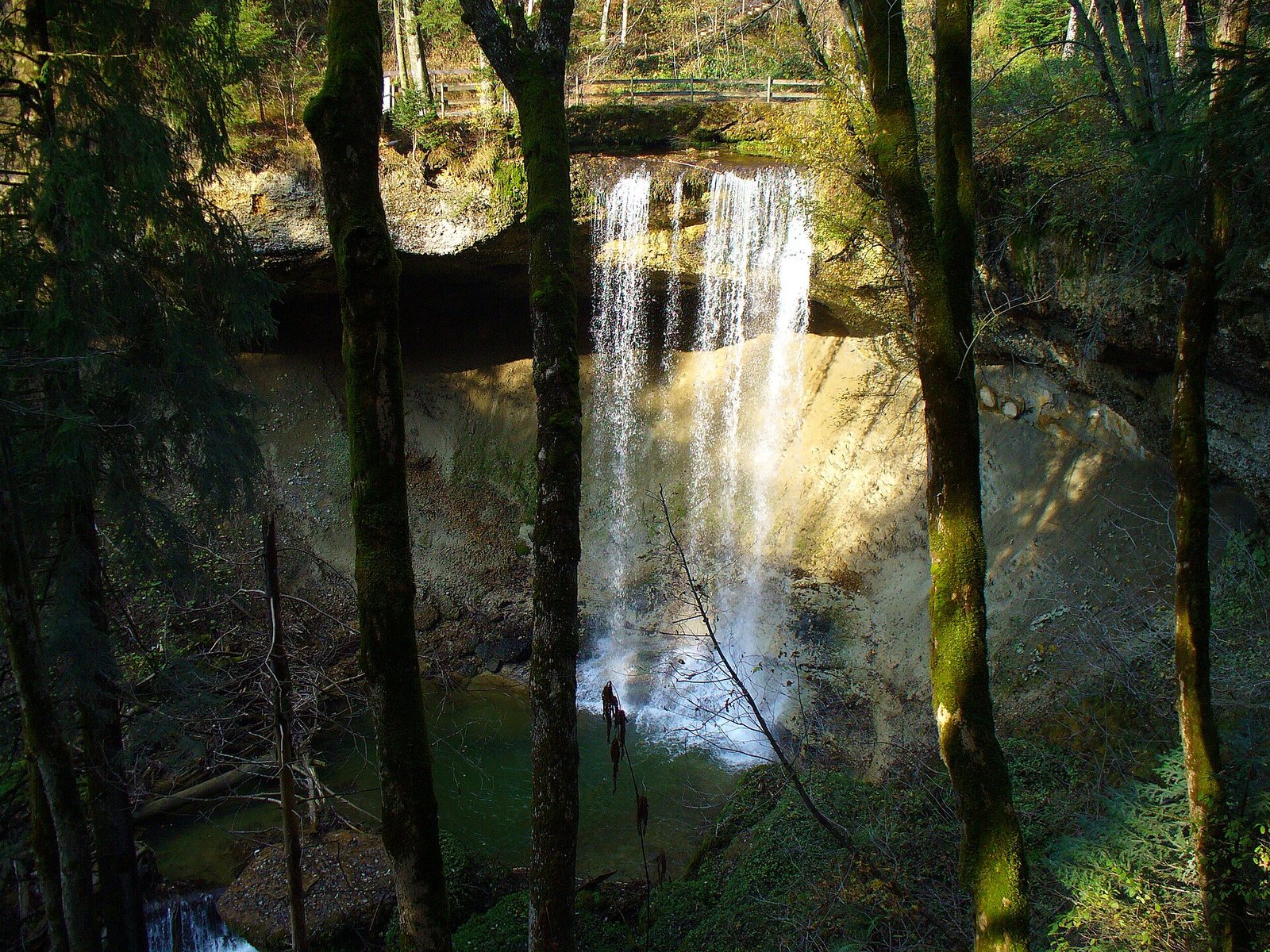 Der obere der Scheidegger Wasserfälle im Wald