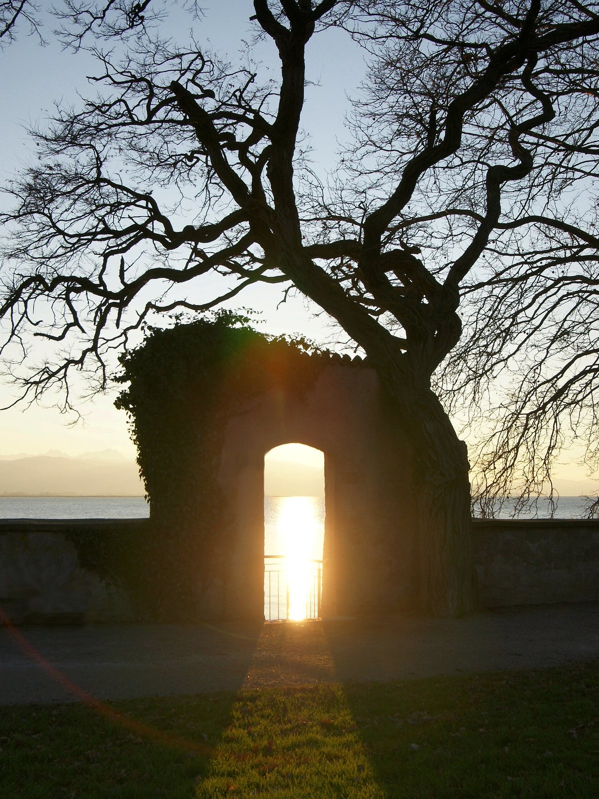 Seepromenade auf der Insel Lindau mit Bäumen und Blick aufs Wasser